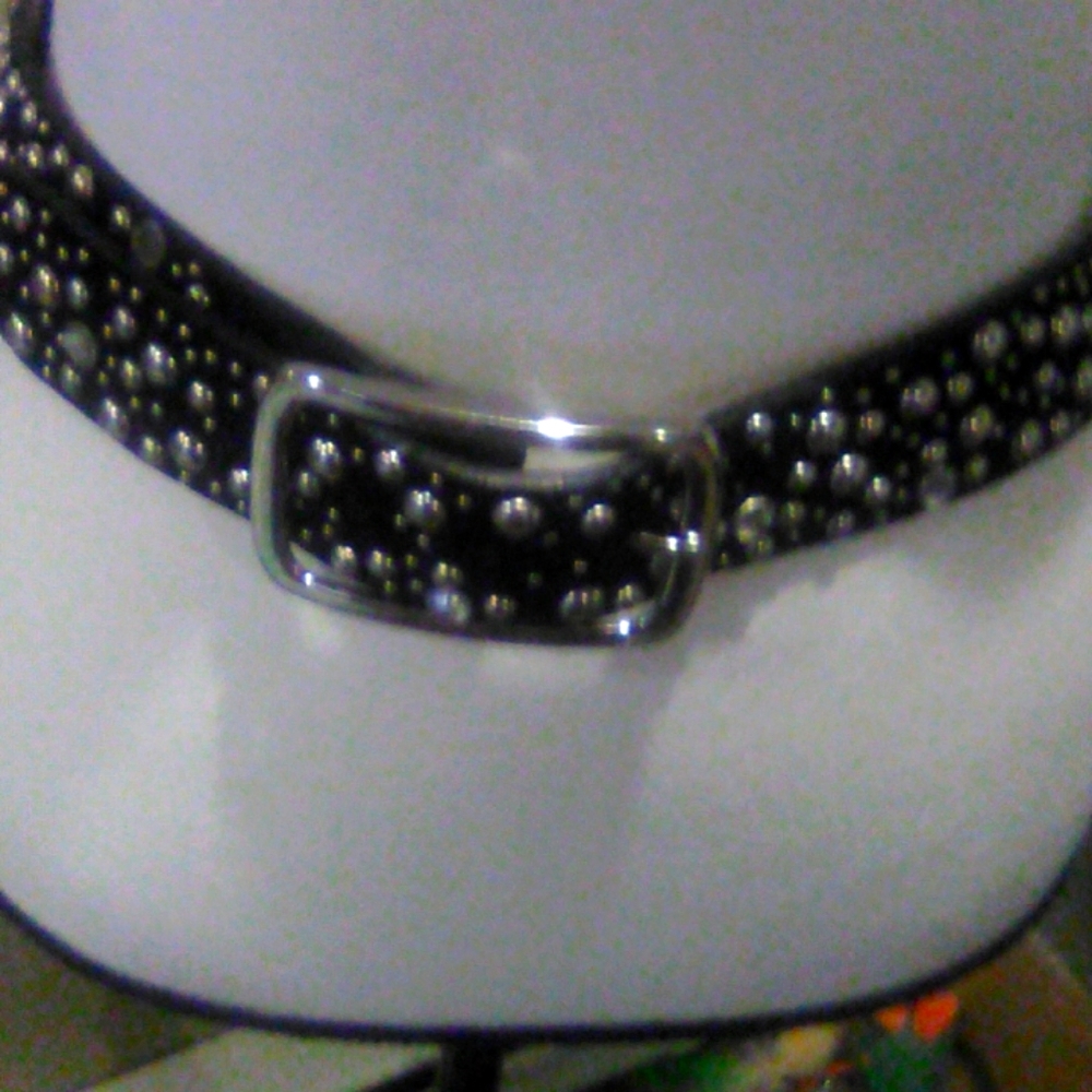 Genuine Leather studded belt